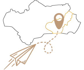 mapa-icon